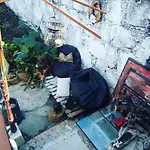 דירה Alegria