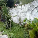 Alegria Apartman